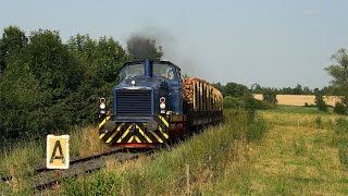 ML 440C der Eisenbahnfreunde Wetterau mit einem Holzzug bei OberHörgern [upl. by Reinhold]