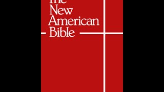 The New American Bible  Part One  Problems [upl. by Eedrahc900]