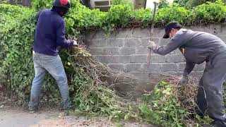 Motivation to clean up an overgrown abandoned house Completely satisfying transformation [upl. by Bensky]