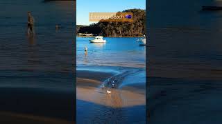 Walking in Ettalong Beach ⛱️ australia holiday edit beachlife [upl. by Heaps536]