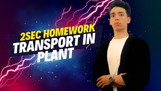 Homework 2sec transport in plant [upl. by Akinuahs]