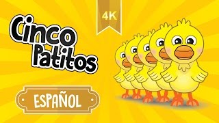 Cinco Patitos  1 2 3 4 5  Canción Infantil  Musicas para Niños y Bebés  5 Patitos Cua Cua  4K [upl. by Leahicm997]