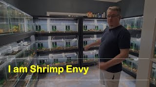 Feeding the Shrimp Hobby Shrimp Envy [upl. by Rimaj]