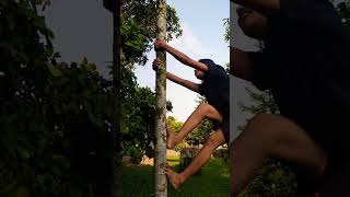 Tree climbing shortvideo adventure [upl. by Aleibarg]