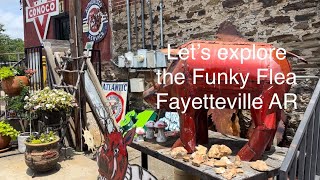 Exploring the Funky Flea Market Fayetteville Arkansas [upl. by Nylrem152]