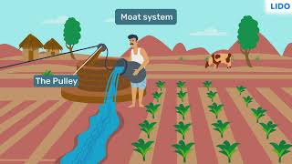 Traditional Methods of Irrigation  Food Production and Management  Class 8 Science ICSE [upl. by Kernan]