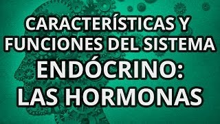 Sistema Endócrino  Principales Características y Funciones  Las hormonas [upl. by Bull123]