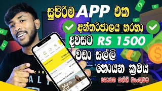 දවසට රු 1500 වඩා හොයන්න App එකක්  Online Jobs Sinhala [upl. by Golding973]