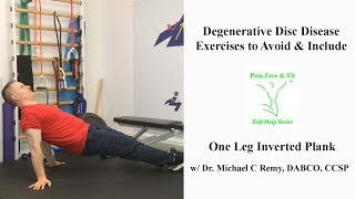 Degenerative Disc Disease Exercises to Avoid amp IncludeOne Leg Inverted Plank [upl. by Drawyeh]