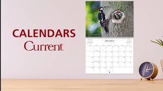 Current Wall Calendars [upl. by Mackenie426]