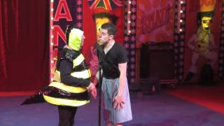 Circus Hilarious  Hippodrome Circus  Bee Routine [upl. by Latia469]