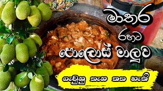 Matara Style Polos Curry  මාතර රසට පොලොස් මාළුව සාදා ගන්න ක්‍රමය [upl. by Cindie]