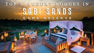 Top 5 Luxury Lodges in Sabi Sands Game Reserve  South Africa Luxury Safari [upl. by Esinwahs67]