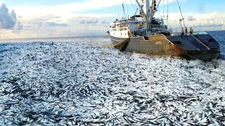 Big Net fishing Seine Net Fishing Vessel  Fishing Trip on Trawler Caught Hundreds of Tons of Fish [upl. by Burwell1]