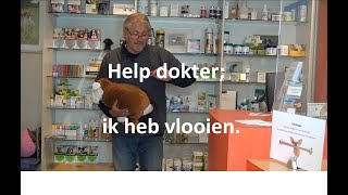 Help dokter ik heb vlooien [upl. by Adev]