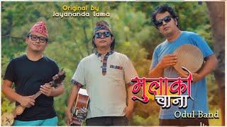 mulako chana मुलाको चाना  org jayananda lama  cover by  ODUL band [upl. by Ring289]