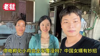 停電後孵化小雞會失敗嗎？中國女婿有妙招，老撾丈母娘直呼真厲害 [upl. by Rim81]