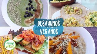 ðŸŒ± 4 DESAYUNOS NUTRITIVOS Y FÃCILES  Comer Vegano [upl. by Amsden]