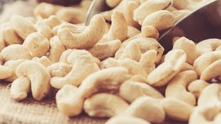 Why You Should Think Twice About Eating Cashews [upl. by Assirual655]