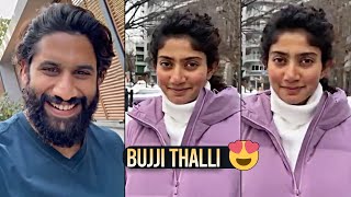 Naga Chaitanya Surprises Sai Pallavi On Valentines Day  Thandel Movie  Daily Culture [upl. by Purity]