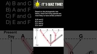 Evolutionary biology quiz [upl. by Vasya712]