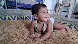 fun genhuwheat playing with wheat cutebaby video babygirl playing with wheat ytvideo youtube [upl. by Vala]