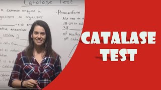 Catalase Test [upl. by Aneda]