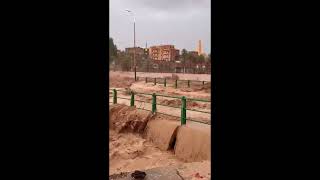 Algeria news  footage of the flooding in this afternoon in Béchar [upl. by Ollopa907]