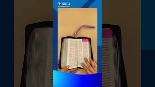 Biblia Chequera Rv1960 Imit Piel Lila Y Negro [upl. by Nodnnarb]