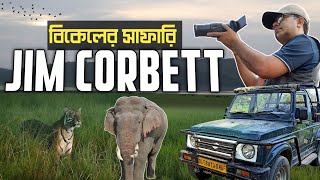 Jim Corbett  Afternoon Jeep Safari at Dhikala Zone of Jim Corbett Park  Jim Corbett Tour Part 4 [upl. by Diskson]