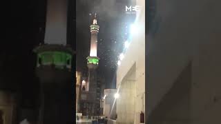 Locusts Plague Mecca Grand Mosque [upl. by Airretnahs]