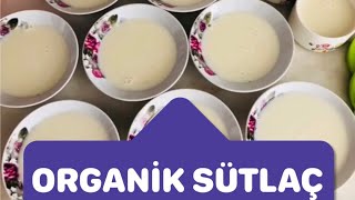 Bebekler İçin Organik Sütlaç Tarifi  Bebekler ve Ebeveynlere 😋 [upl. by Nivla]