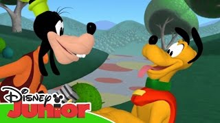 Musses Klubbhus Kattungar på vift  Disney Junior Sverige [upl. by Ibbison]