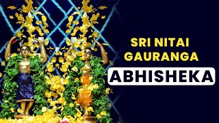 Panihati Mahotsava  Nitai Gauranga Abhisheka [upl. by Ahsek357]