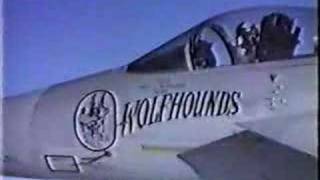 F15 Wolfhounds 32nd Tactical Fighter Squadron Soesterberg [upl. by Jephum]