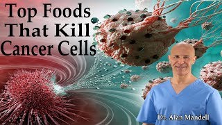 Top Vital Foods that Kill Destroy amp Make Cancer Die  Dr Alan Mandell DC [upl. by Eyk796]