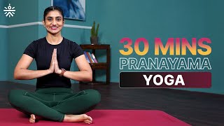 20 Mins Pranayama  Yoga Poses At Home  Yoga For Beginners  cultofficial [upl. by Talya243]