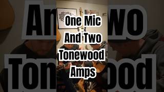 Not a paid ad or anything We just love these things ❤️ ToneWoodAmpMagic tonewoodamp guitar [upl. by Filia]