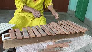 Song  Boro loker beti lo  Homemade musical instruments [upl. by Volding]