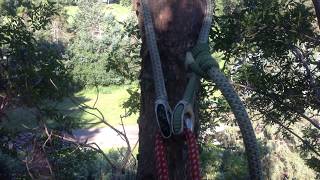 Teufelberger FimbL Saver Womens Tree Climbing Workshop WTCW 2016 [upl. by Sanchez]