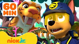 PAW Patrol Daring Jungle Pups Rescues with Animals amp More w Chase and Skye 🐯 1 Hour  Nick Jr [upl. by Missy]