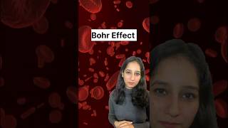 Bohr Effect humanphysiology csirnet neet gate cuet respiration hcu tifr csirnetlifescience [upl. by Solorac52]