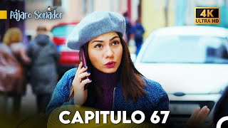 Pájaro Soñador Capítulo 67 Doblado En Español 4K [upl. by Anaeli]