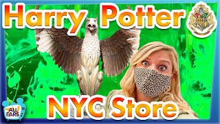 TAKE MY MONEY Harry Potter NYC Harry Potter Store [upl. by Eng622]