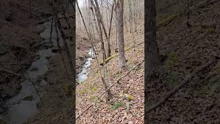 SkullCreek TN 138 Acres [upl. by Bromleigh264]