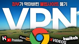 내돈내산 혼자만 알고 계세요 2024 최신 우회용 VPN 추천  Mullvad  Surfshark  Proton VPN  Riseup  Express VPN 광고 X [upl. by Oinotnaocram]