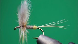 LADY BEAVERKILL CLASSIC CATSKILL DRY FLY  FLY TYING TUTORIAL [upl. by Winzler926]