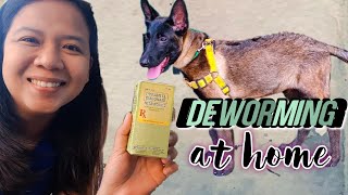 HOW TO USE PYRANTEL EMBONATE NEMATOCIDE TO DEWORM A DOG AT HOME  EASY DIY DOG DEWORMING PURGA [upl. by Enimsay]