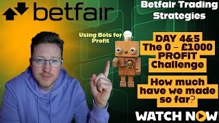 0  £1000 Challenge  Day FOUR amp FIVE using Staking Plans amp Dutching Betfair Trading Strategies [upl. by Ytok]