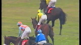 1994 Mecca Dante Stakes Erhaab Includes Replay [upl. by Inaffit]